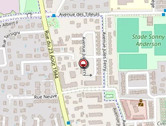 Carte de Nassare Thierry à Mions