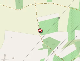 Carte de Braud Eric à Saint-saturnin