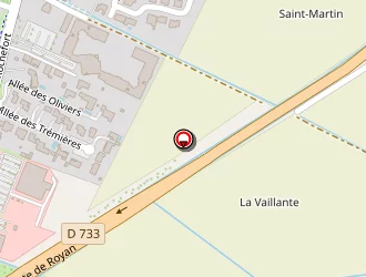 Carte de Mousse Auto à Saint-sulpice-de-royan