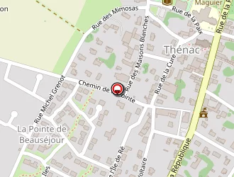 Carte de Rabiller Patrick à Thénac