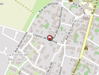 Carte de Homo Jean-yves à Thénac