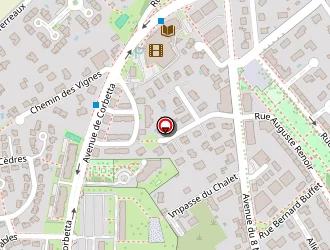 Carte de Optique Lb Picard à Corbas