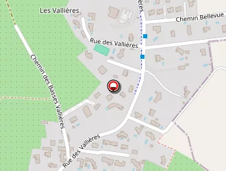 Carte de Green Services à Vourles