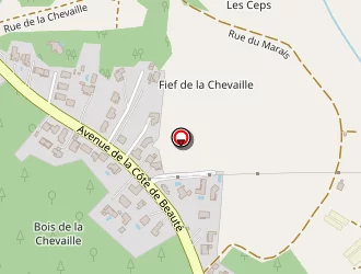 Carte de Gourriveau Michael à Saint-augustin