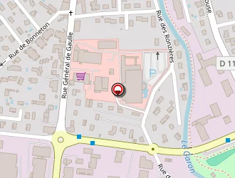 Carte de Bébé A Bord à Brignais