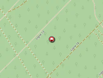 Carte de Le Basilic à Saint-palais-sur-mer