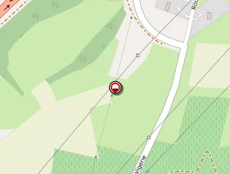 Carte de M.c.g à Saint-saturnin