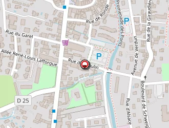 Carte de Brignais Auto Controle à Brignais