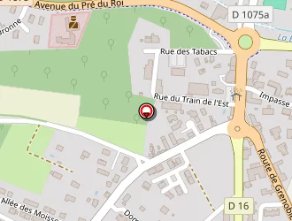 Carte de Capelle Julie à Morestel