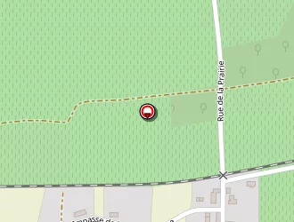 Carte de Archambaud Stéphane à Salignac-sur-charente