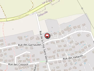 Carte de Roquessallanne Mathieu à Tallende