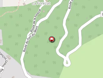 Carte de Ppm Services à Albertville