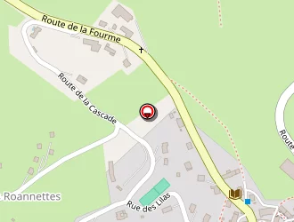 Carte de Mairie à Sauvain