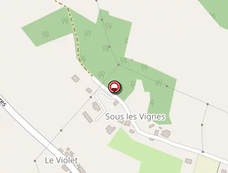 Carte de Lebel Eric à Sermérieu