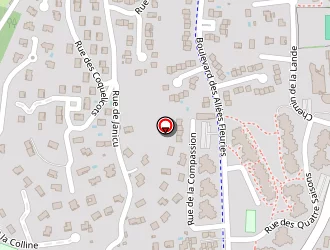 Carte de Mima à Brignais