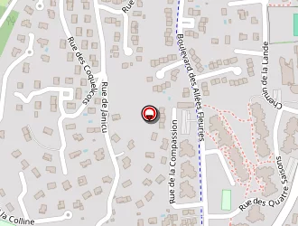 Carte de Borgy Jacques à Brignais