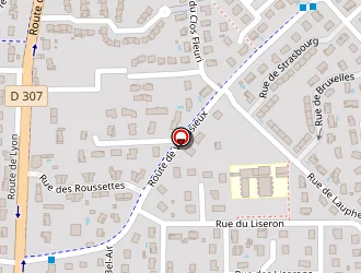 Carte de Danteny Dominique à Feyzin