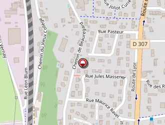 Carte de I.c.c à Feyzin