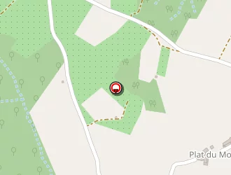 Carte de Coquet Bernard à Thurins