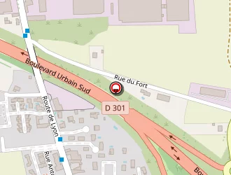 Carte de Photo Denise Ienné à Corbas