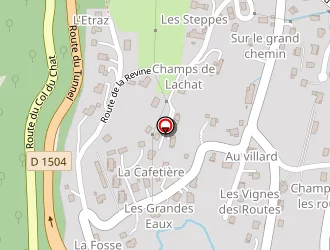 Carte de Viossat Gérald à Bourdeau