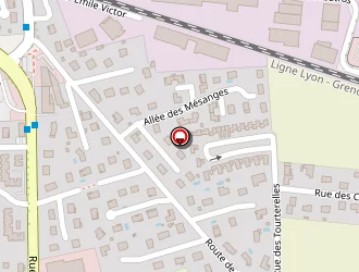 Carte de Société Prospektor Bedriye à Mions