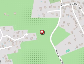 Carte de Electricité Rougeron à Irigny