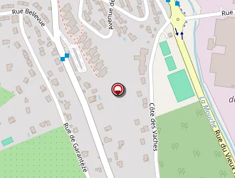 Carte de Barale Igor à Irigny