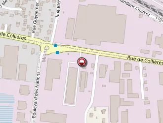 Carte de Mallet Jean-pierre à Mions