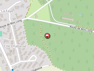 Carte de Thoreau Yannick à Mornac