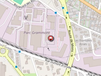 Carte de Executif Express à Mions