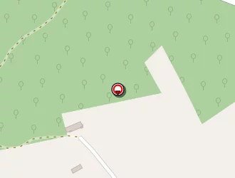 Carte de Jullien Patrick à Busserolles