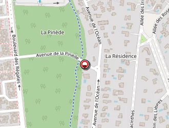 Carte de Jet Alizé à Palmyre (la)