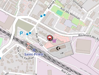 Carte de Desserte Francilienne à Mions