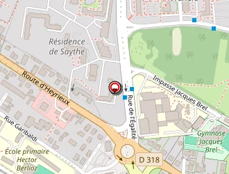 Carte de Denergie à Saint-priest