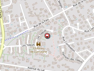 Carte de Compagnon Alpiniste à Saint-genis-laval