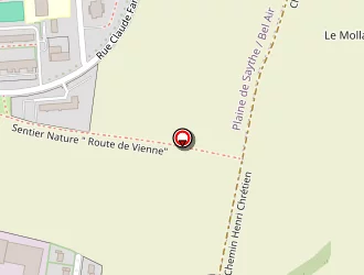 Carte de Marion Didier à Saint-priest