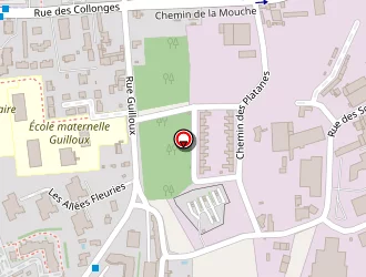 Carte de Net Soul à Saint-genis-laval