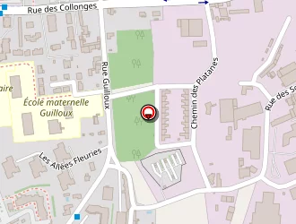 Carte de Kemi à Saint-genis-laval