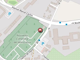 Carte de Vénifleurs à Vénissieux