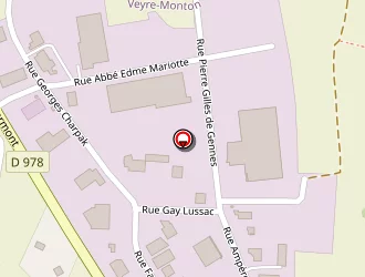 Carte de Da Silva Manuel à Veyre-monton