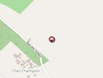 Carte de Lacombe Jean-marc à Julienne