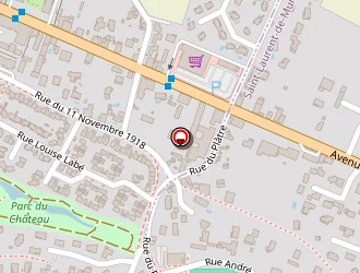 Carte de Accel Transport à Saint-bonnet-de-mure