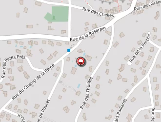 Carte de Roux Raymond à Mirefleurs