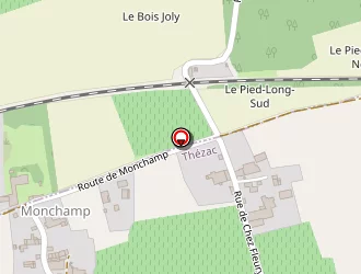 Carte de Marionneau Francis à Thézac