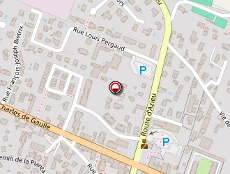 Carte de F1 Pizza à Saint-bonnet-de-mure