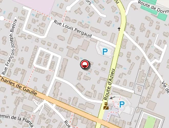 Carte de B. Mangon-optic à Saint-bonnet-de-mure