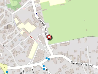 Carte de Fg Multi Services à Saint-genis-laval