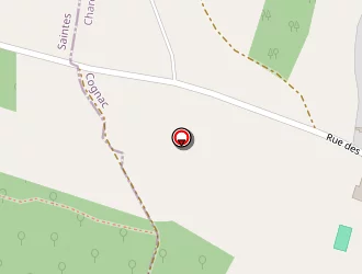 Carte de Laurenne Patrick à Saint-laurent-de-cognac