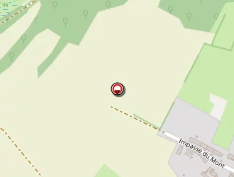 Carte de Schott Roger à Passins